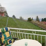 度假居 Gaestehaus Schiff 梅尔斯堡
